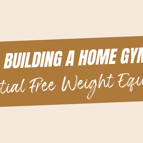 Free Weight Equipment - https://totalmusclegym.com