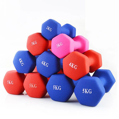 Hot Sale Cast Iron Dumbbell Vinyl Coated Dumbbell Home Gym Dumbbells